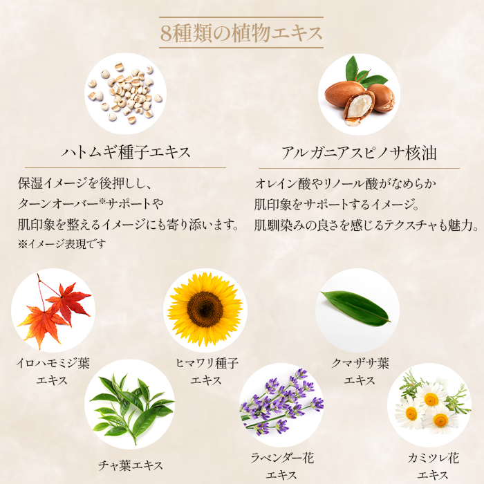 HYBRID OIL【30ml】